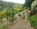 Área dos celibatários