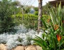 Área dos celibatários