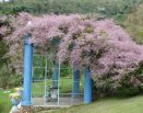 Área dos celibatários