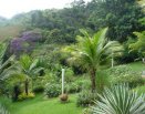 Área dos celibatários