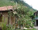 Área dos celibatários