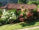 Área dos celibatários
