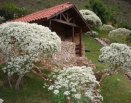 Área dos celibatários